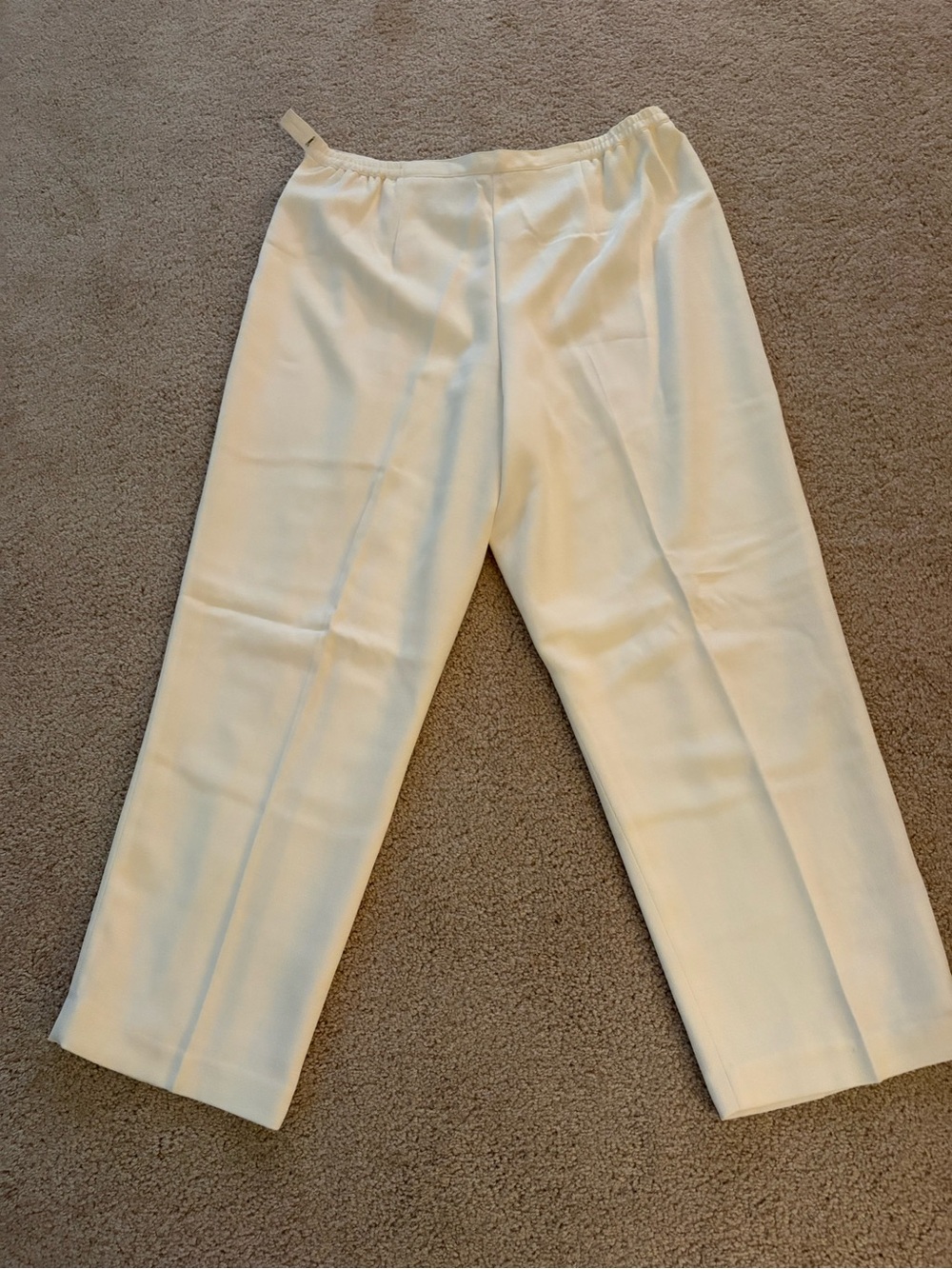 Women’s Alfred Dunner lined pants